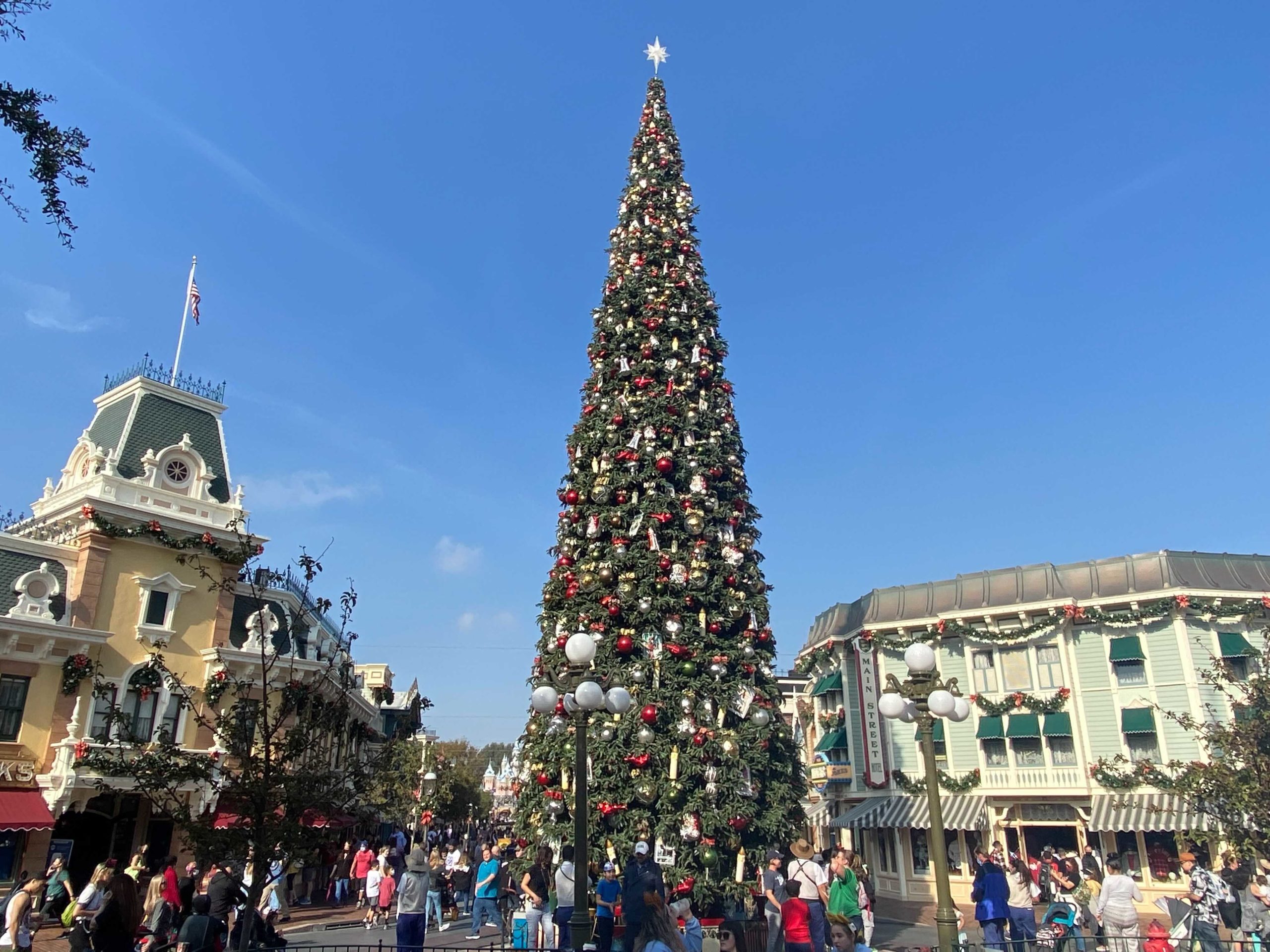 PHOTOS Christmas Tree, Entrance Decorations Up at Disneyland WDW