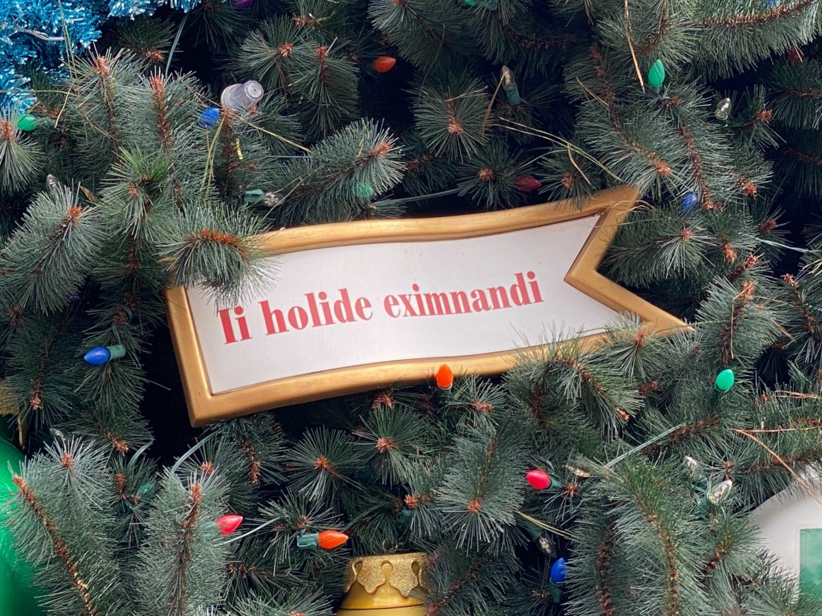 epcot-christmas-decorations-4-1156332