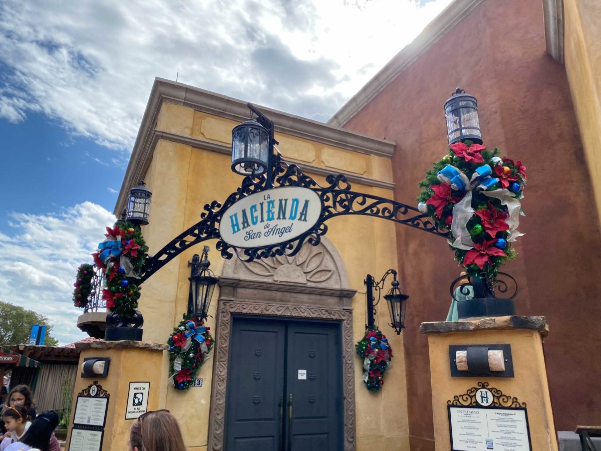 epcot-christmas-decorations-b-16-9969294