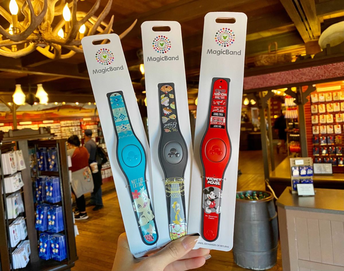 magicbands-12-4070898