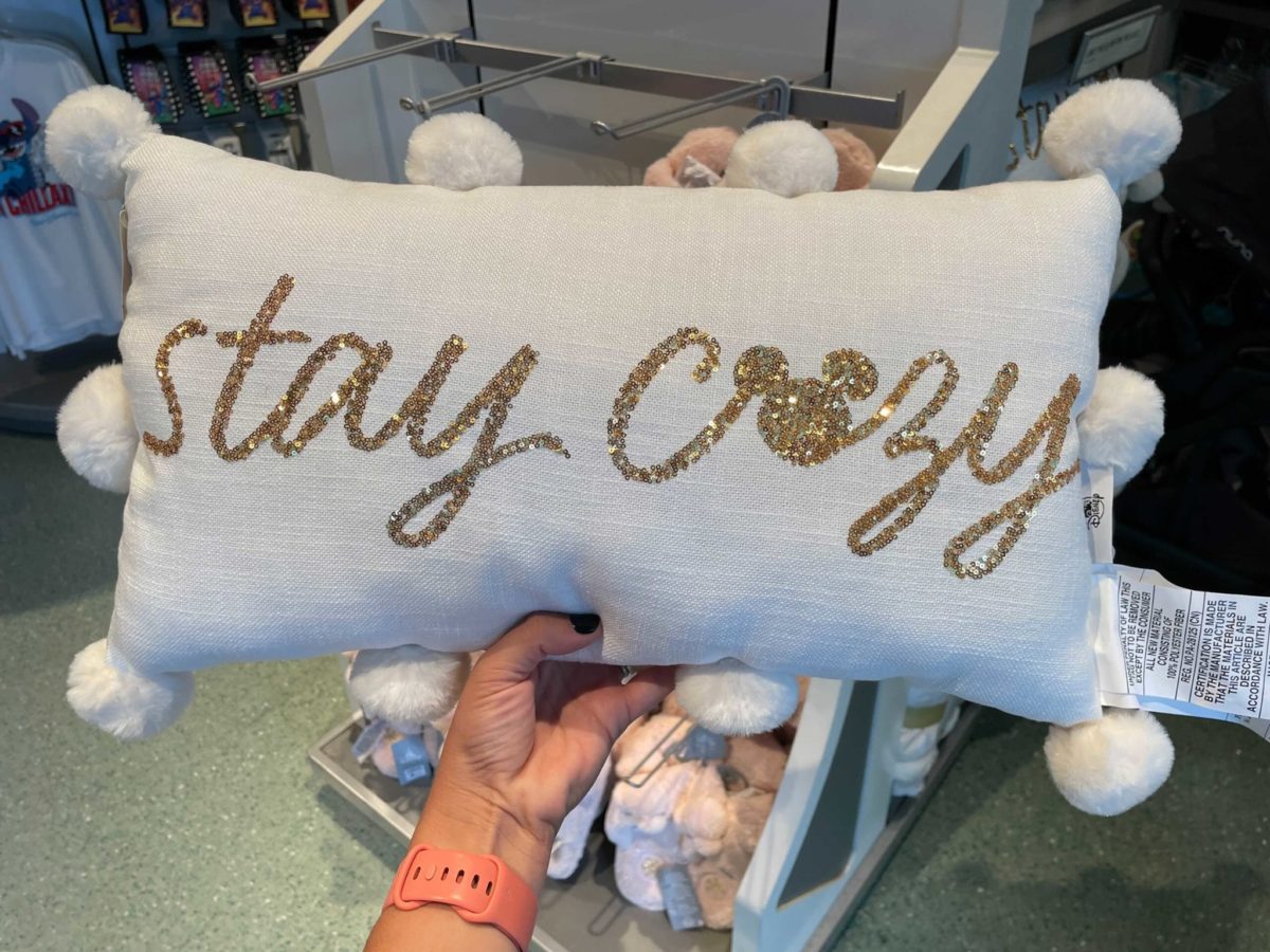 stay-cozy-pillow-6293417