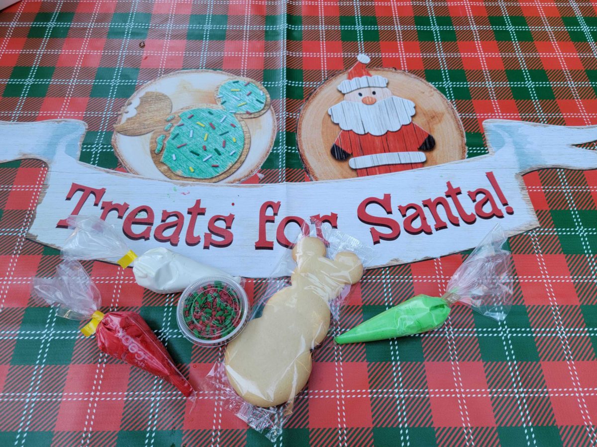 treats-for-santa-cookie-decorating-kit-1