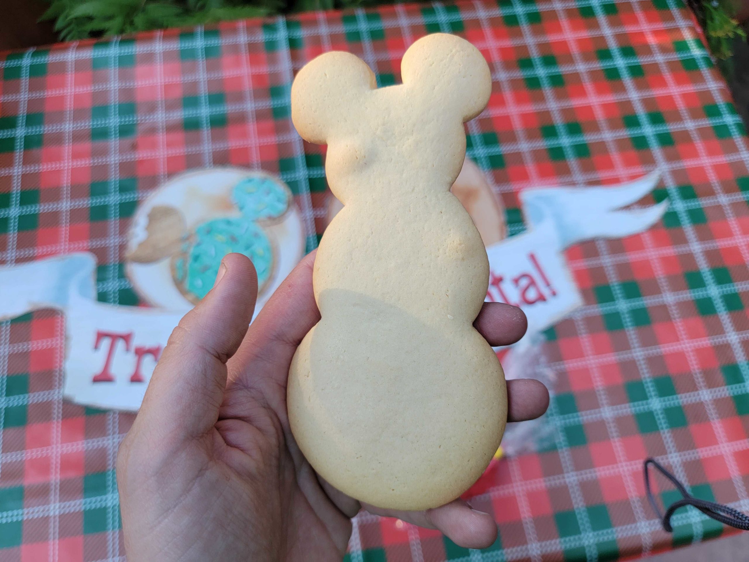 treats-for-santa-cookie-decorating-kit-5