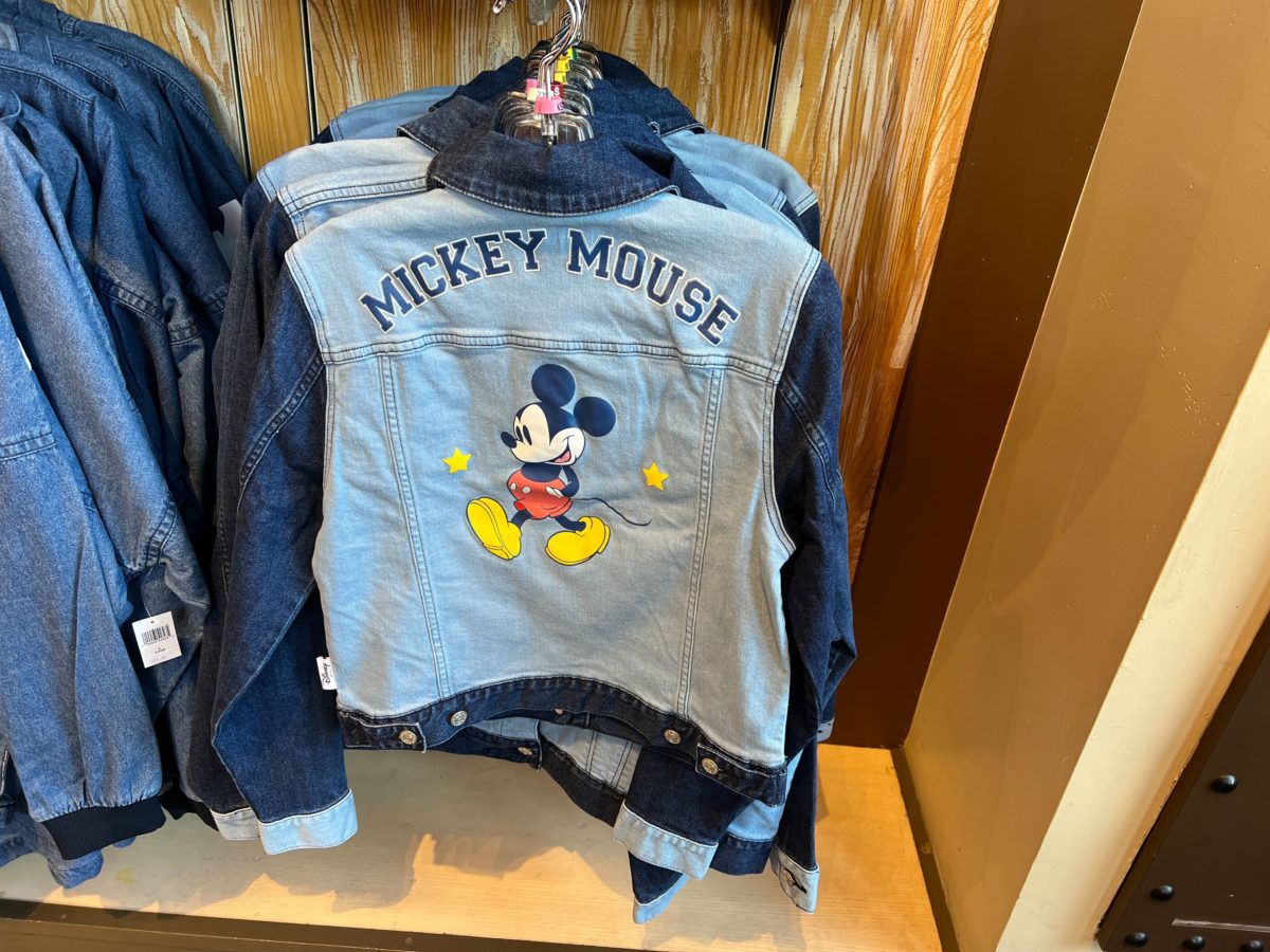 disneyland-merchandise-23-4386302