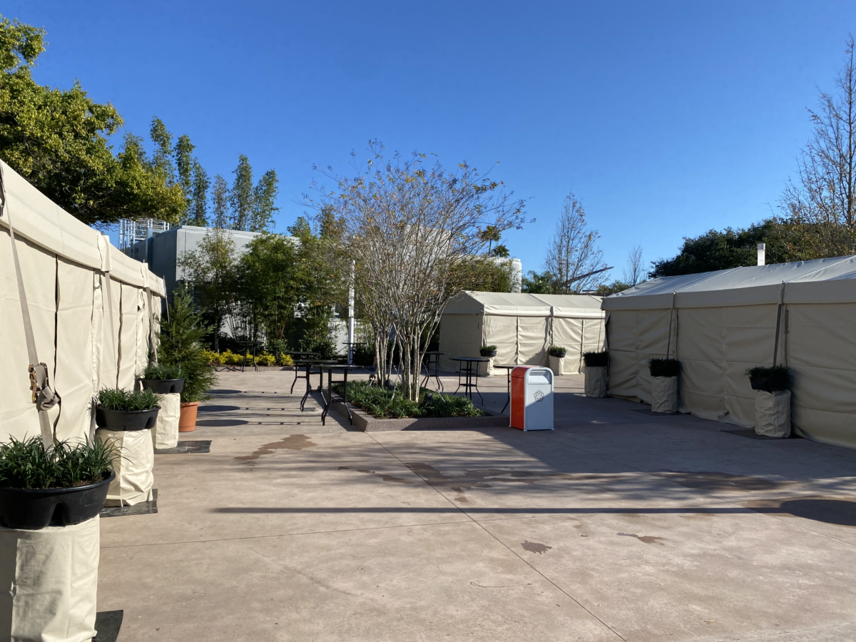 epcot-photo-report-12-28-21-9