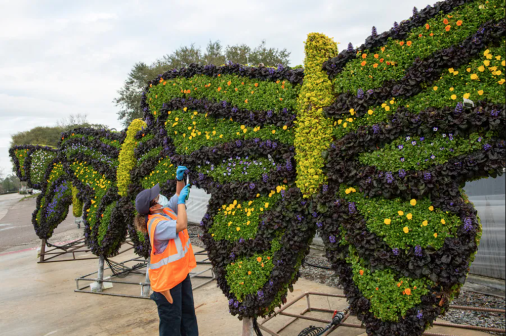 flower-and-garden-festival