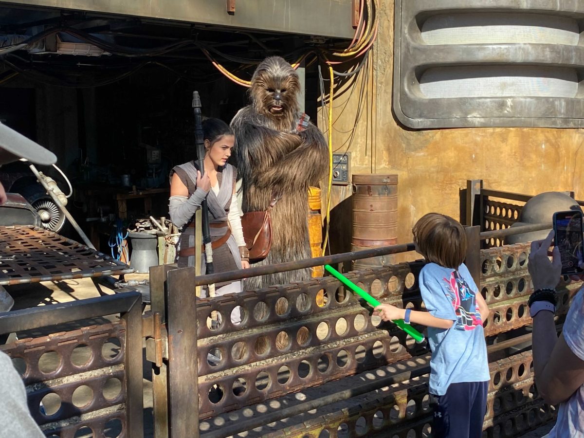 rey-and-chewbacca-8059233
