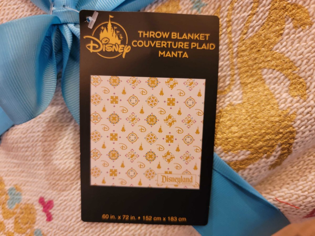 Disneyland blanket 100905