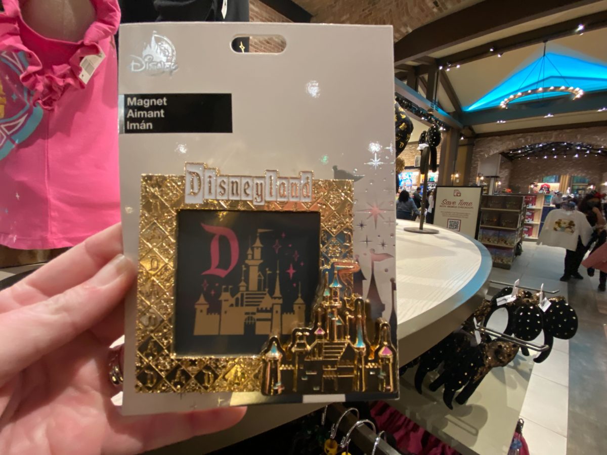 Disneyland magnet