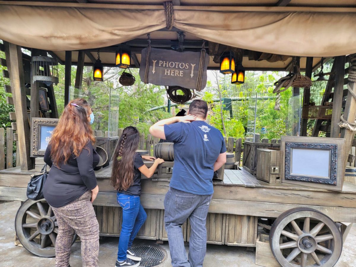 harry-potter-and-the-forbidden-journey-ride-photo-kiosk-hollywood-3