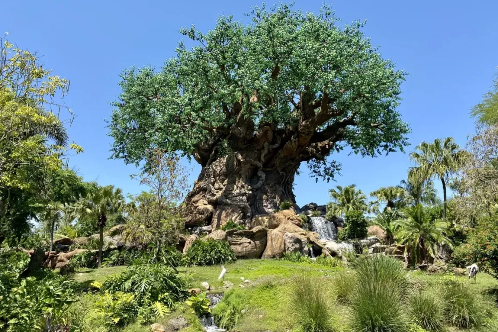 Tree of Life at Animal Kingdom