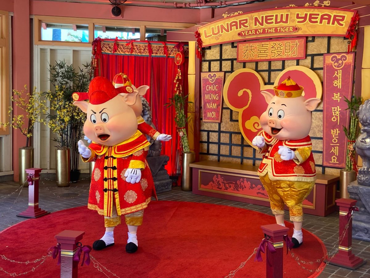 lunar new year pigs 7