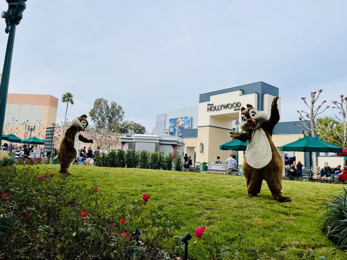 Chip-and-dale-in-animation-courtyard