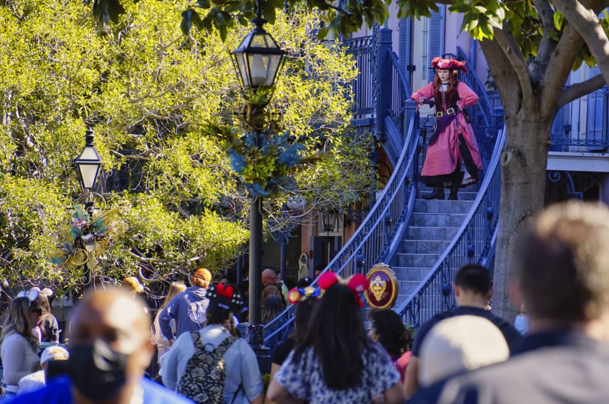 Redd Pirate Disneyland