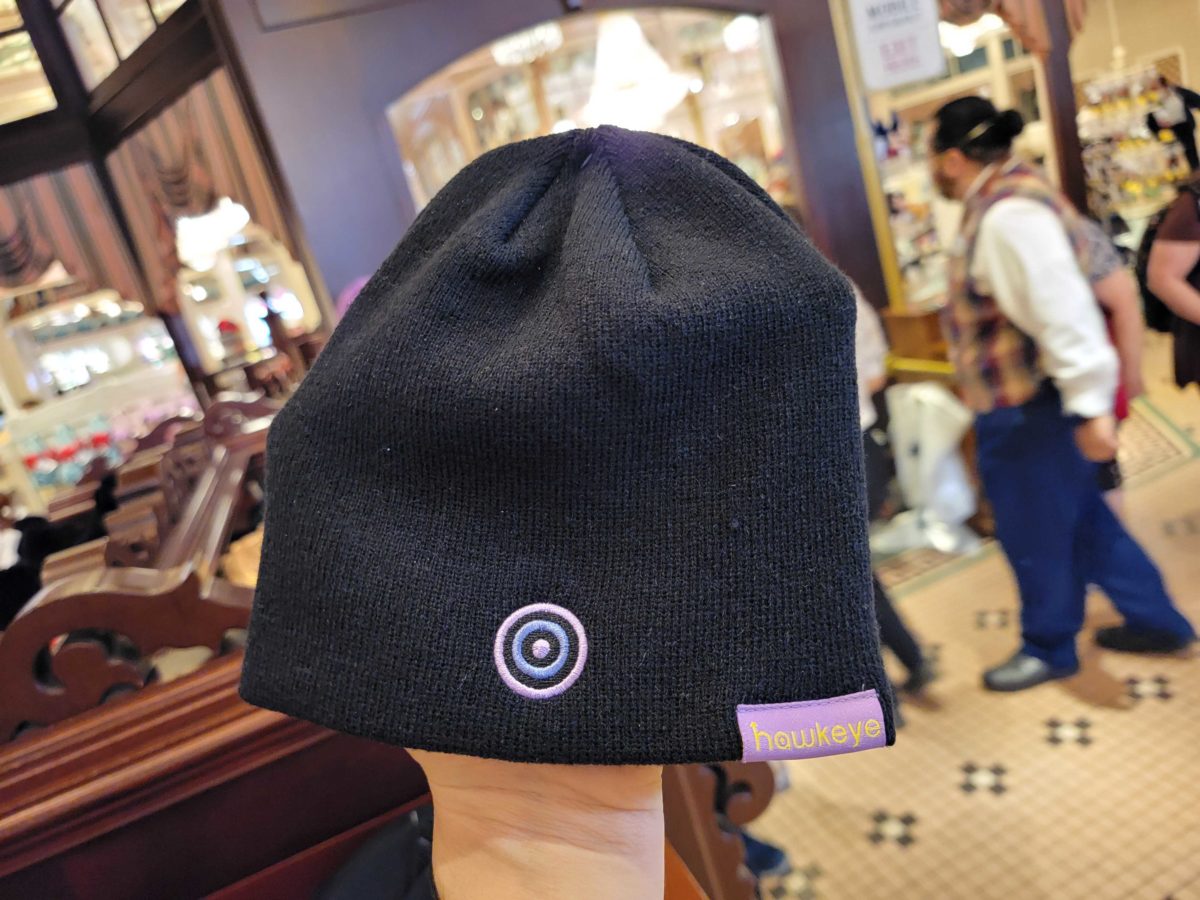 Disneyland hats 121505
