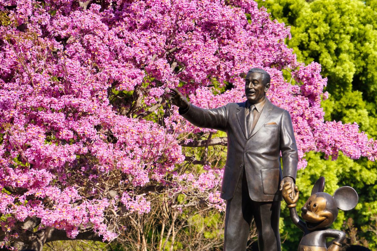 Pink Trees of Disneyland with Partners Statue