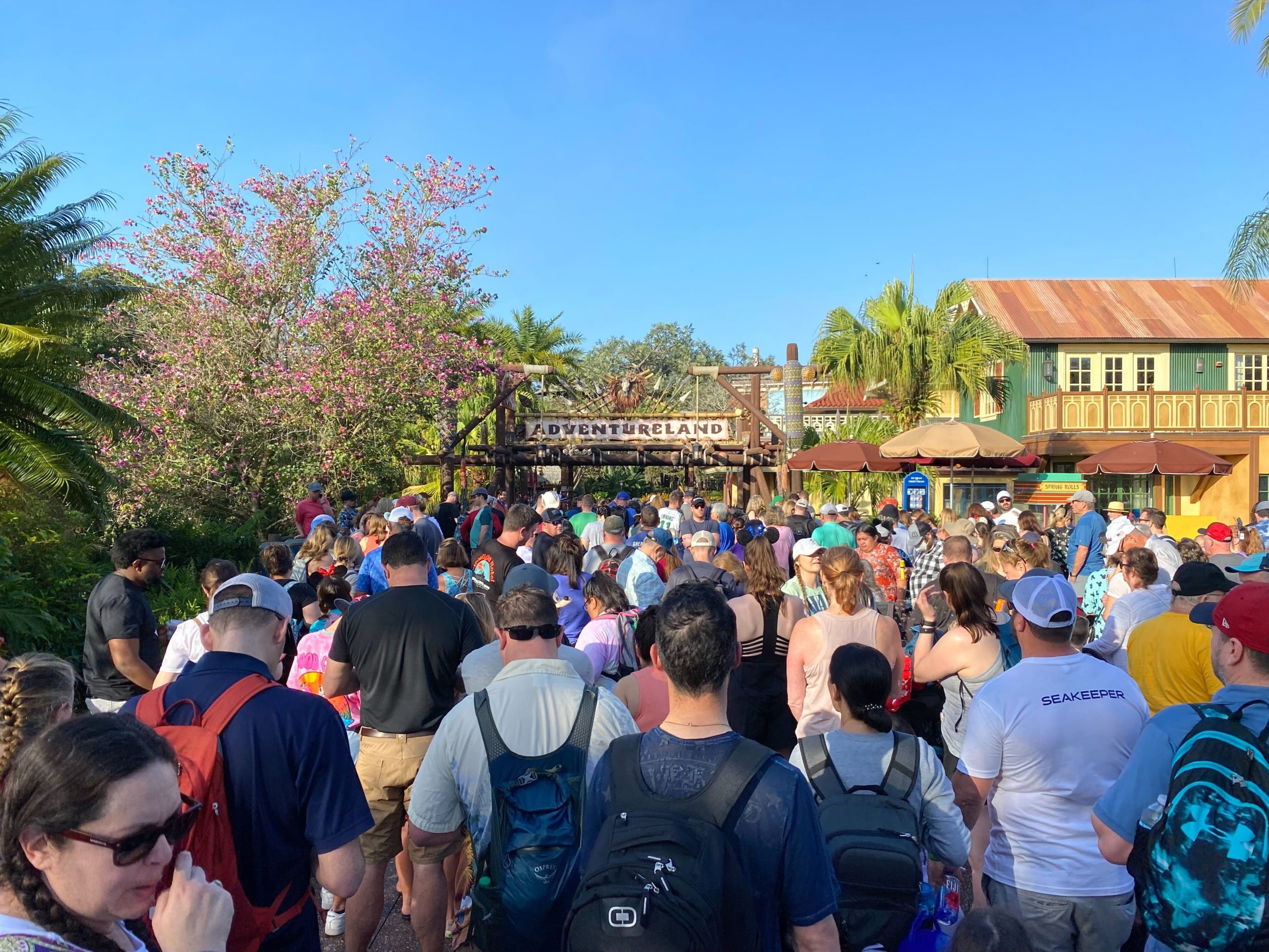 'Revenge Travel' Could Be Affecting Disney Parks Tourism as Large Crowds Continue - WDW News Today