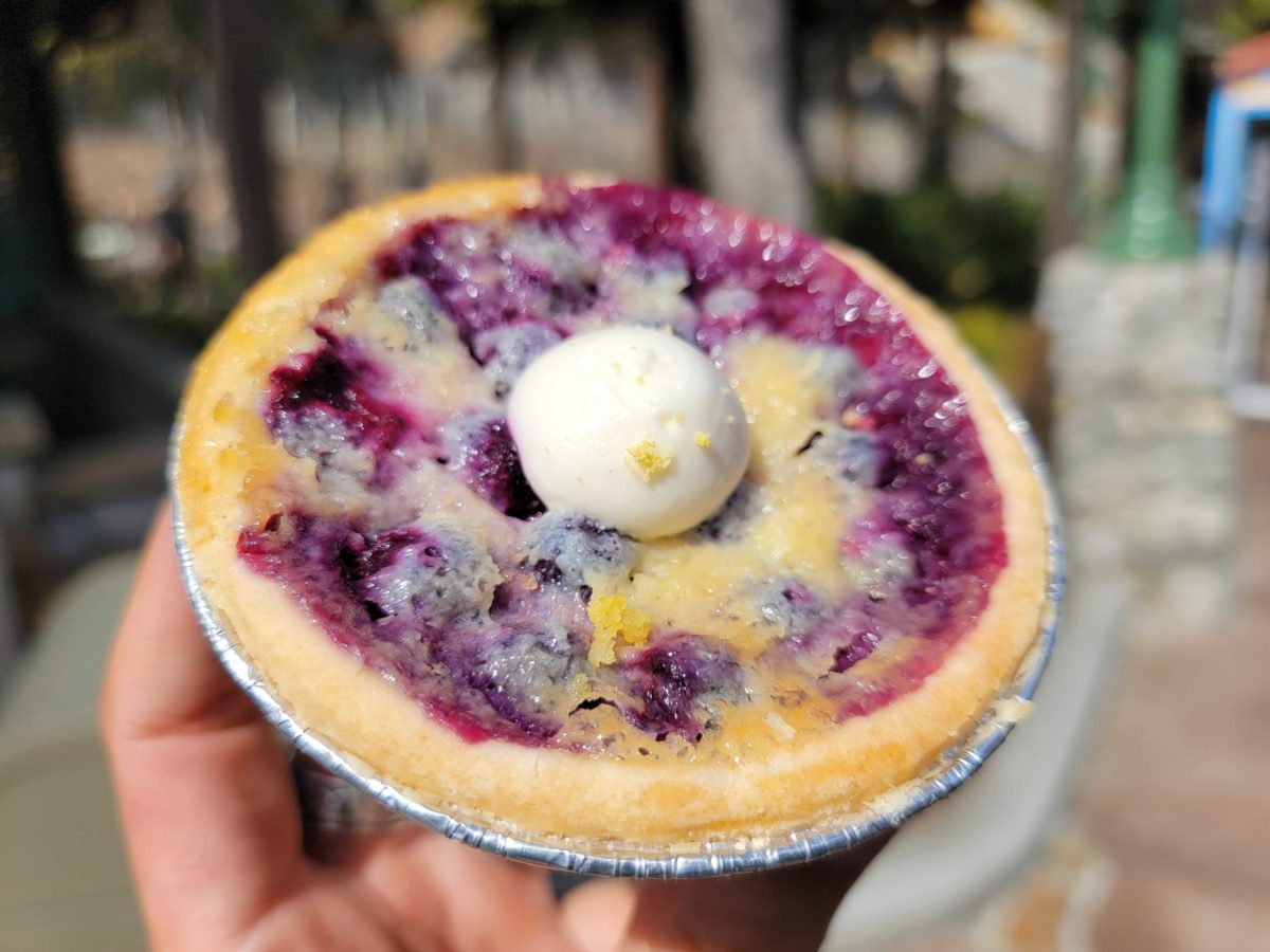 blueberry buttermilk pie berry patch california adventure 2