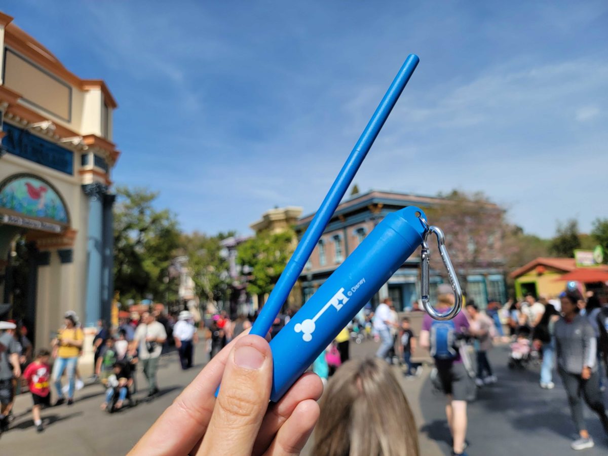 Disney World Straw Update: Reusable Straws Available for Purchase — Find  Out Where!