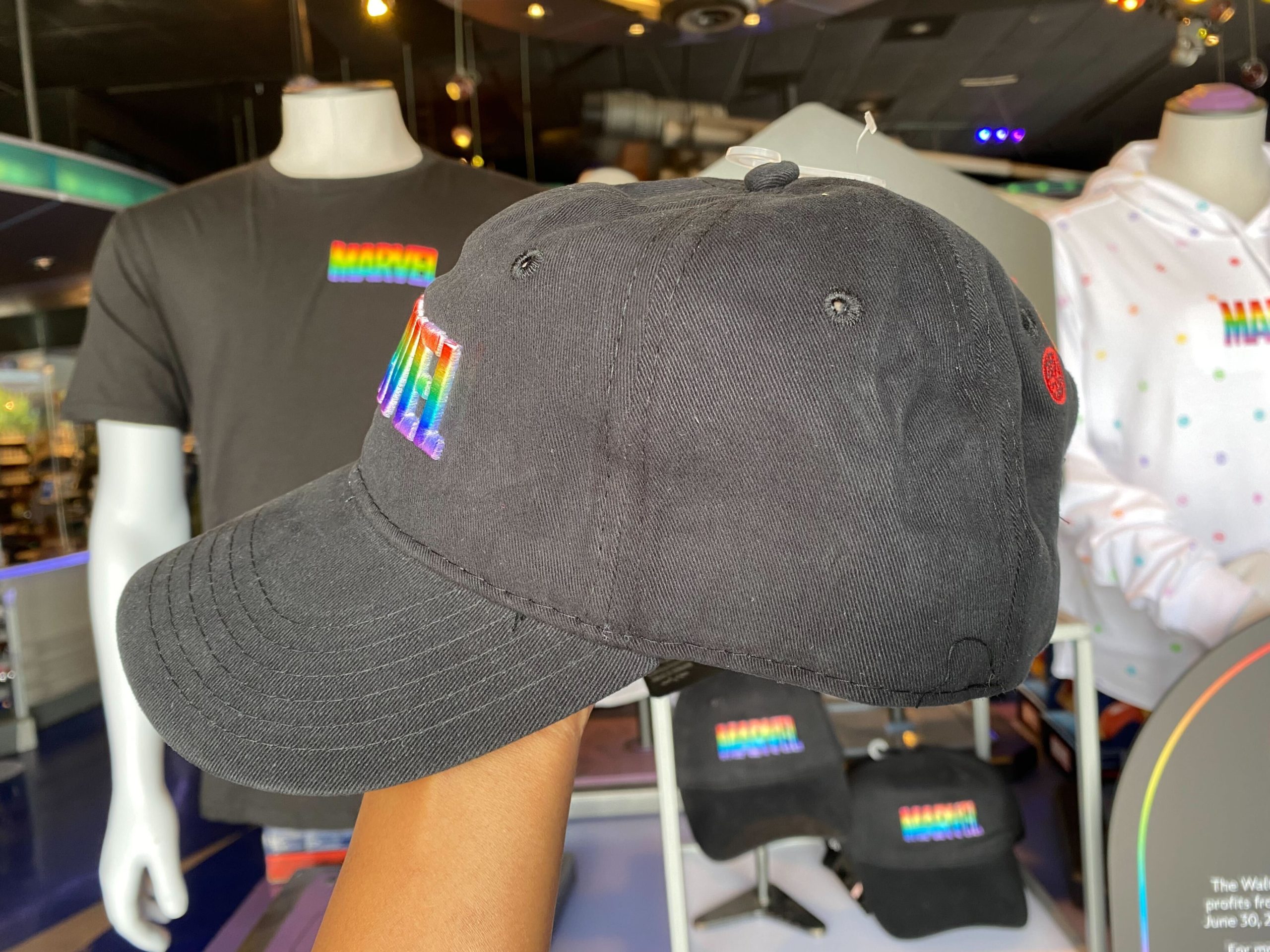 Disneyland pride collection 11 scaled