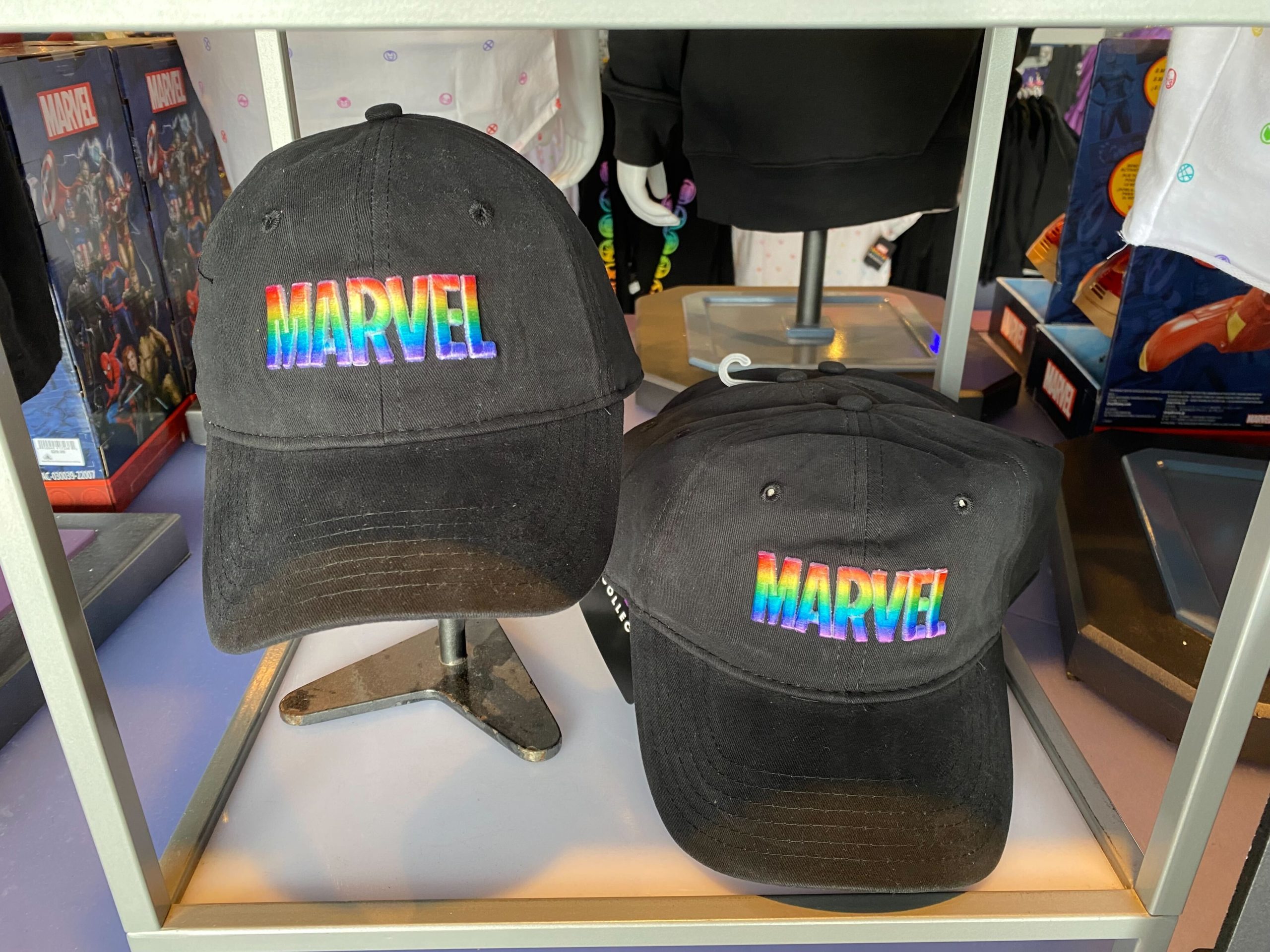 Disneyland pride collection 14 scaled