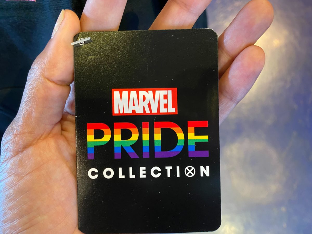 Disneyland pride collection 32