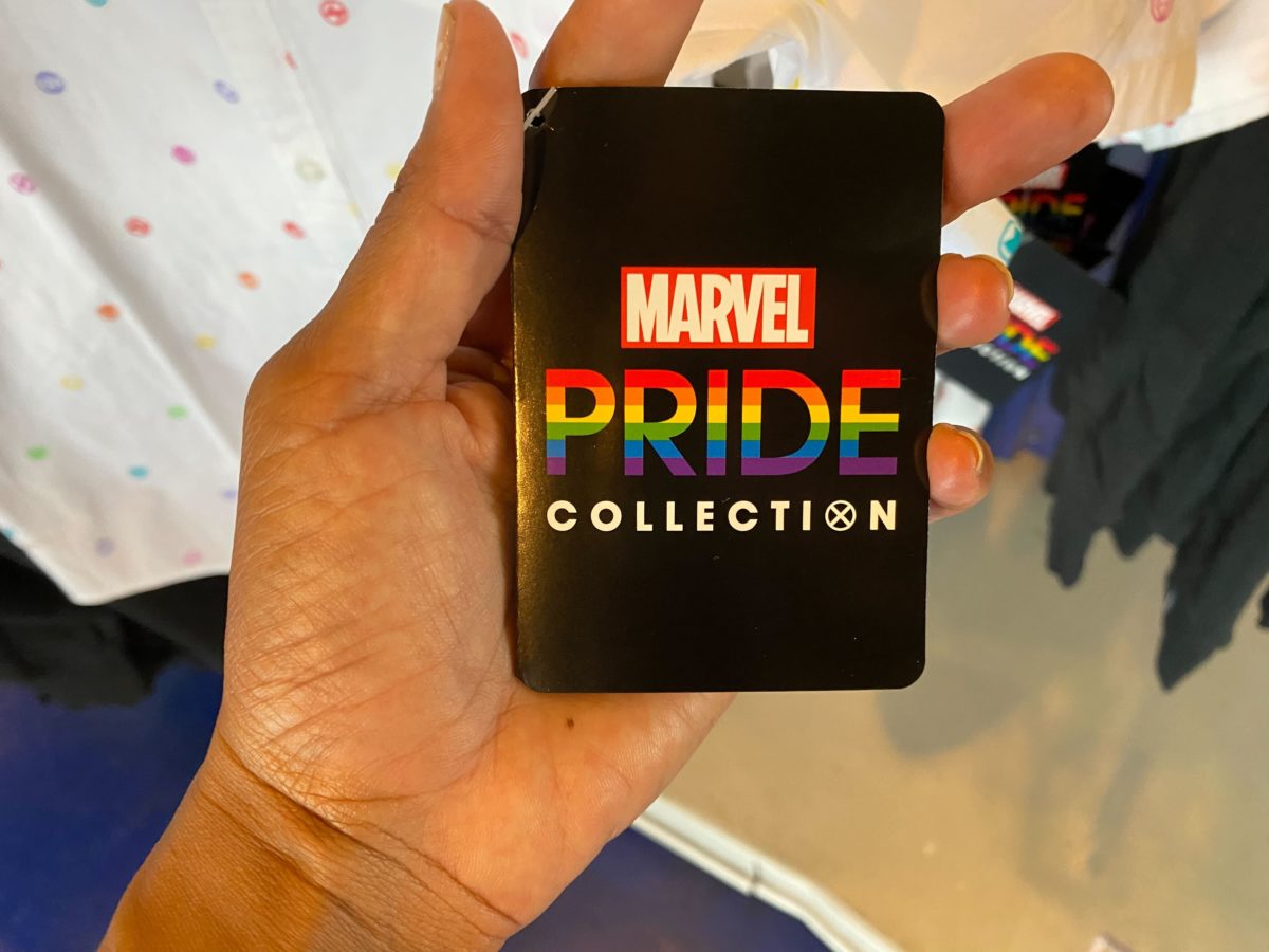 Disneyland pride collection 38