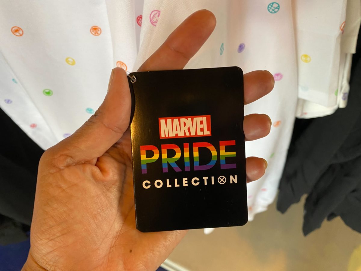 Disneyland pride collection 49