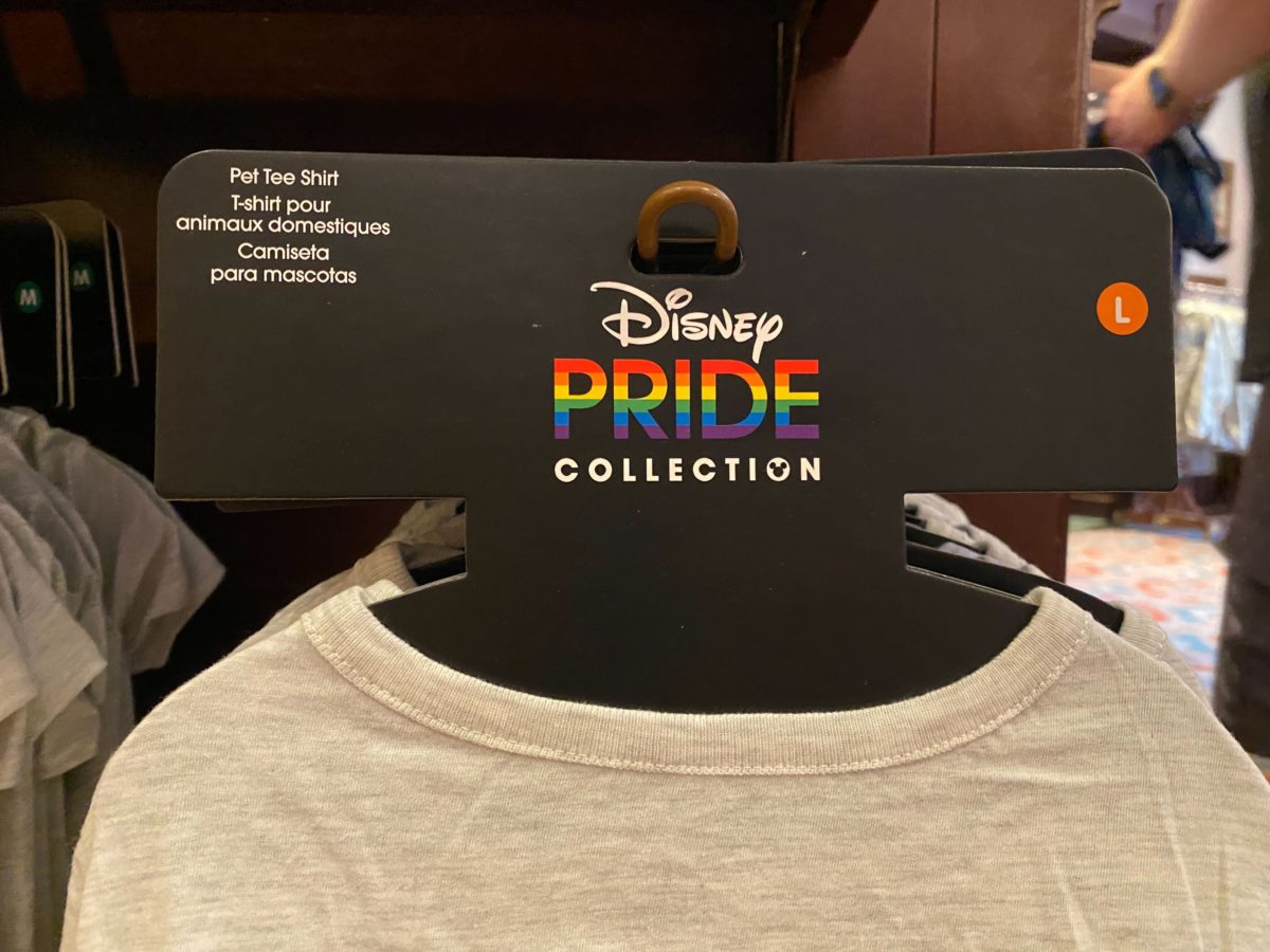 Disneyland pride collection b 48