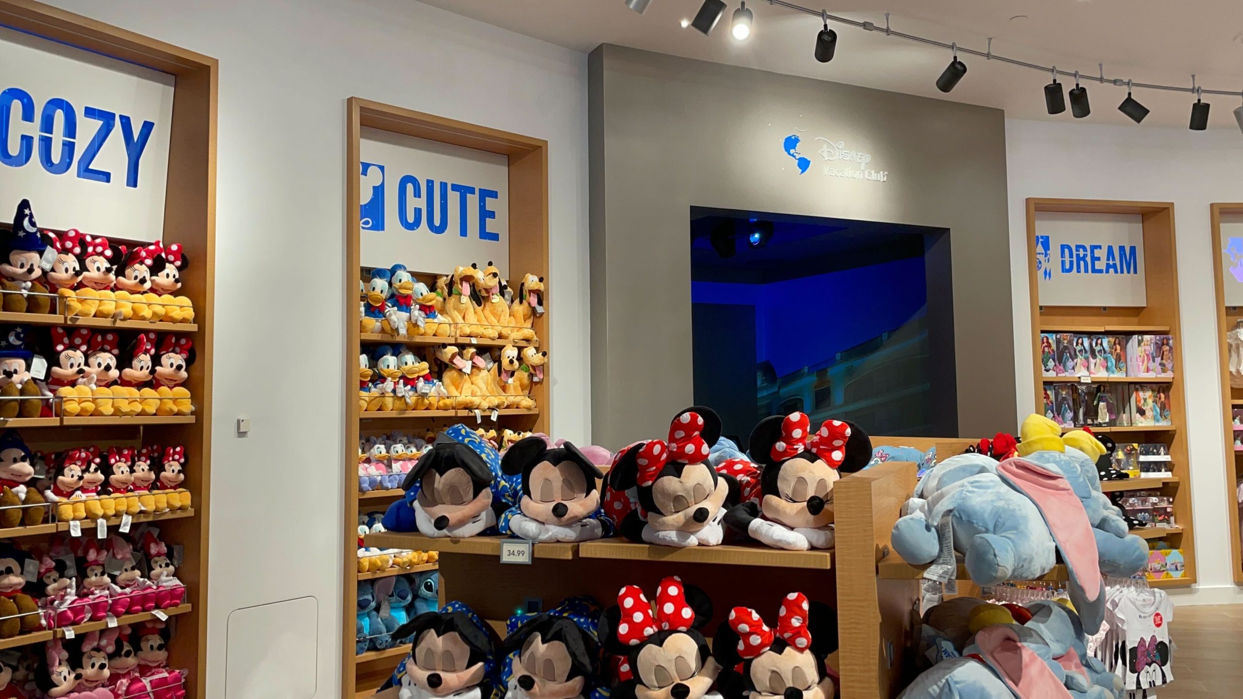 Walt Disney World store 25 scaled