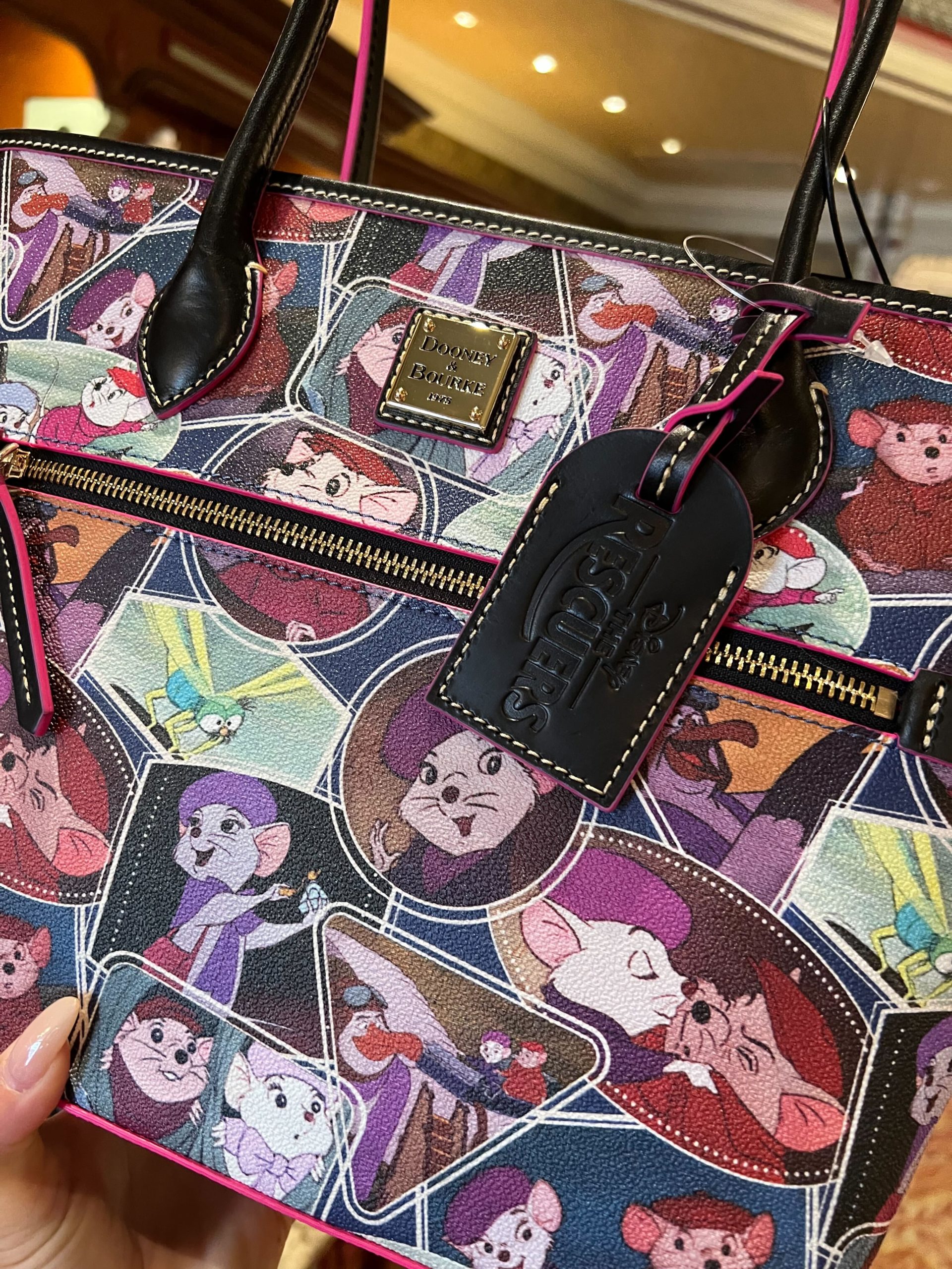 the rescuers dooney bourke 22 scaled