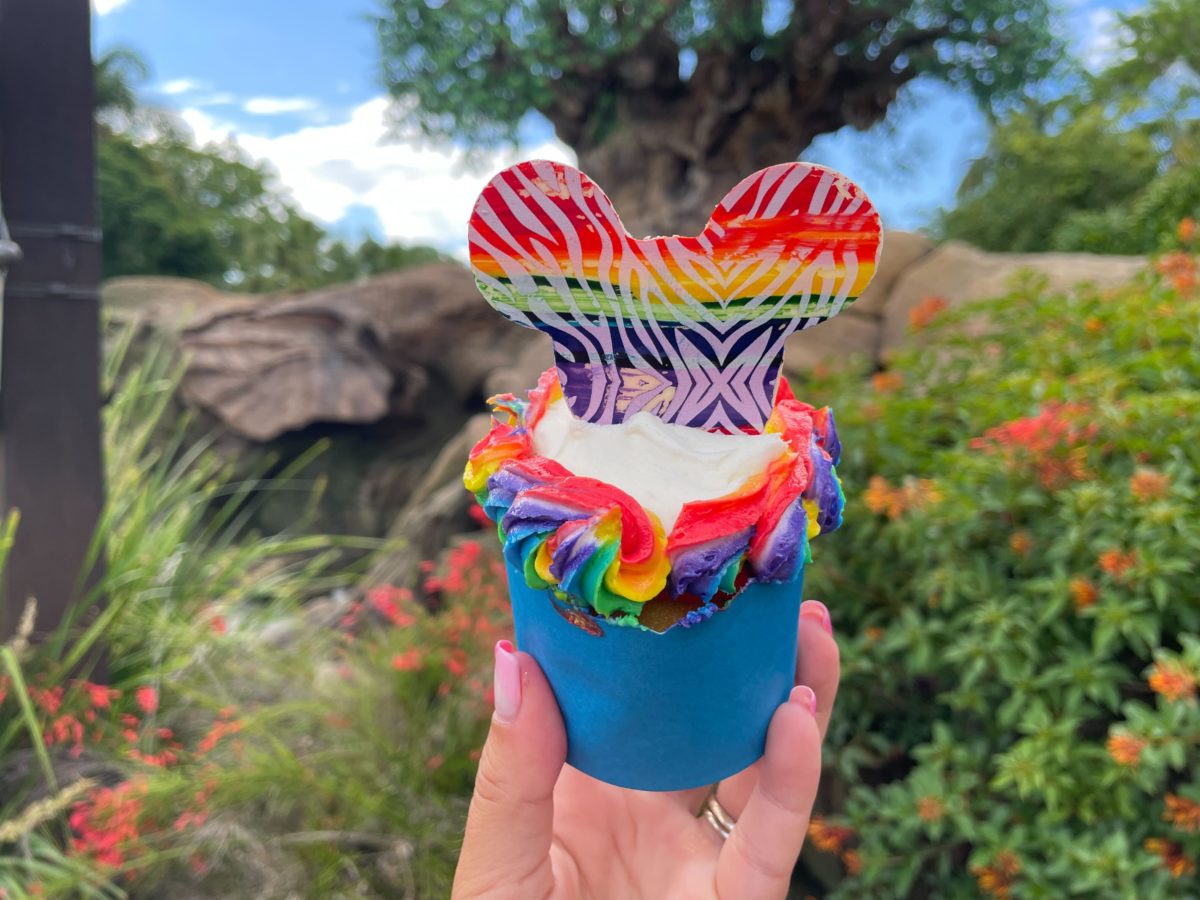 pride cupcake 10