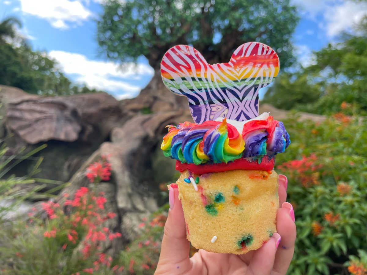 pride cupcake 16