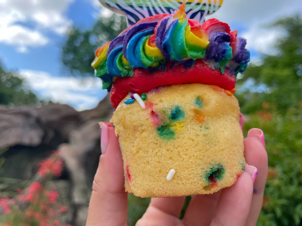 pride cupcake 21