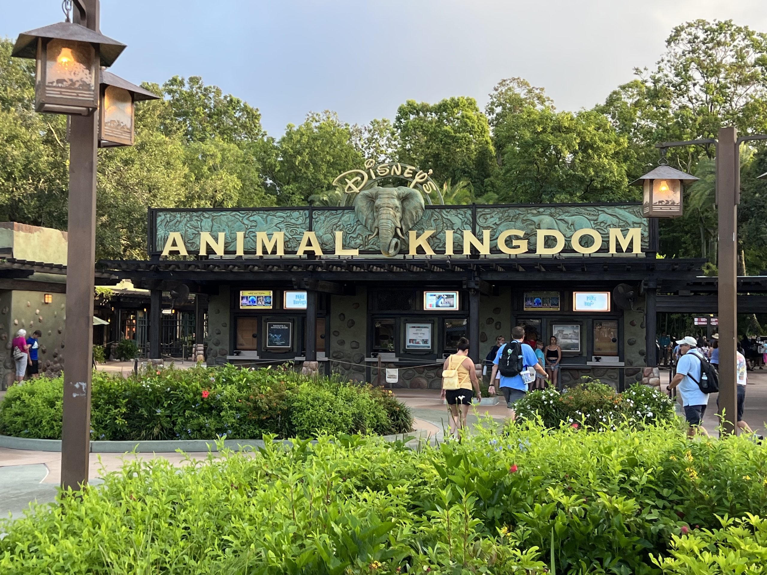 Animal Kingdom Photos1 1 scaled