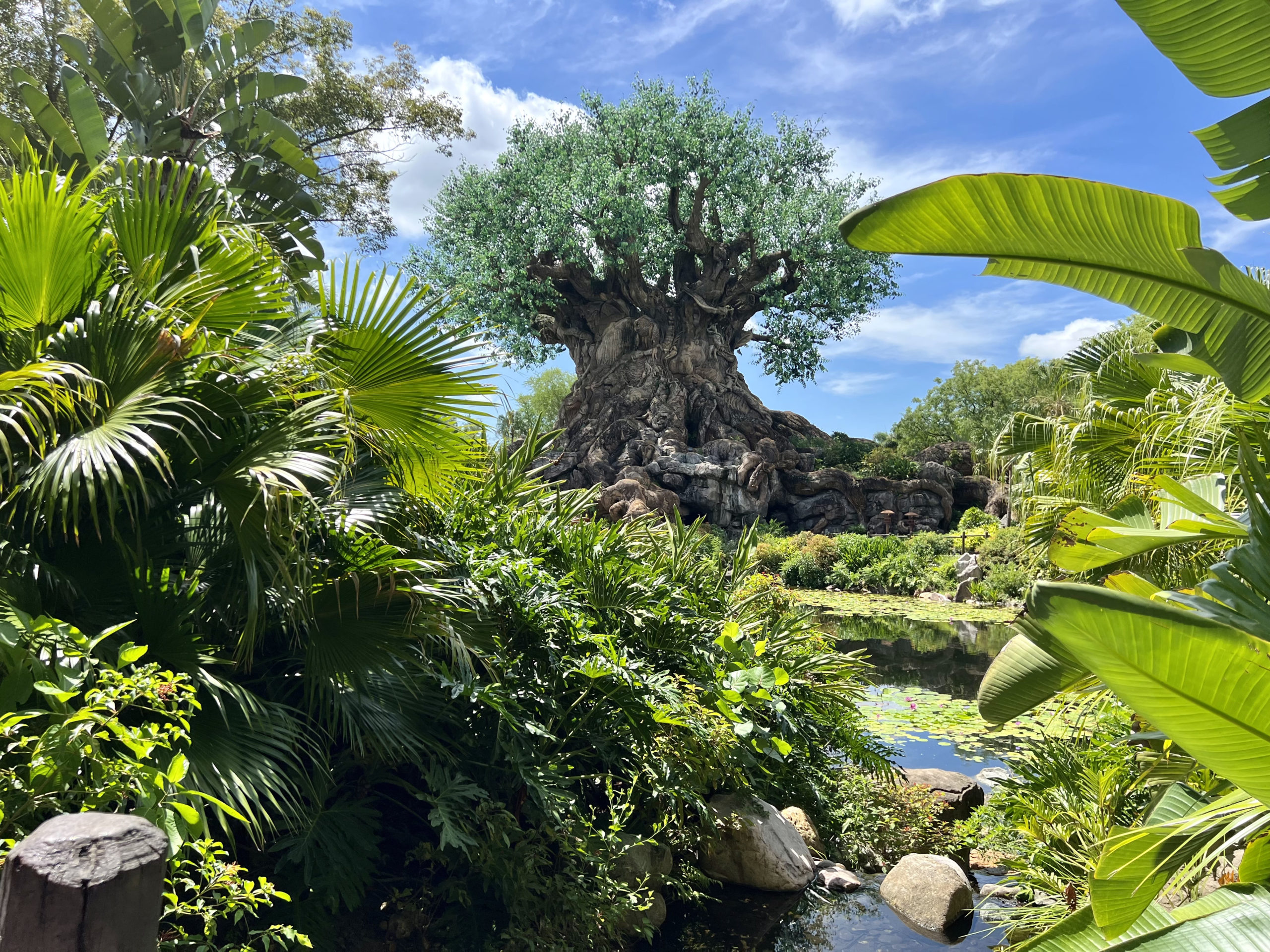 Animal Kingdom Photos12 scaled