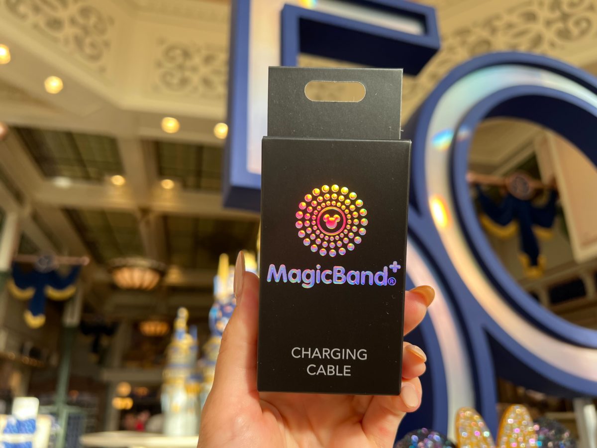 WDW MagicBand Charging Cable 3
