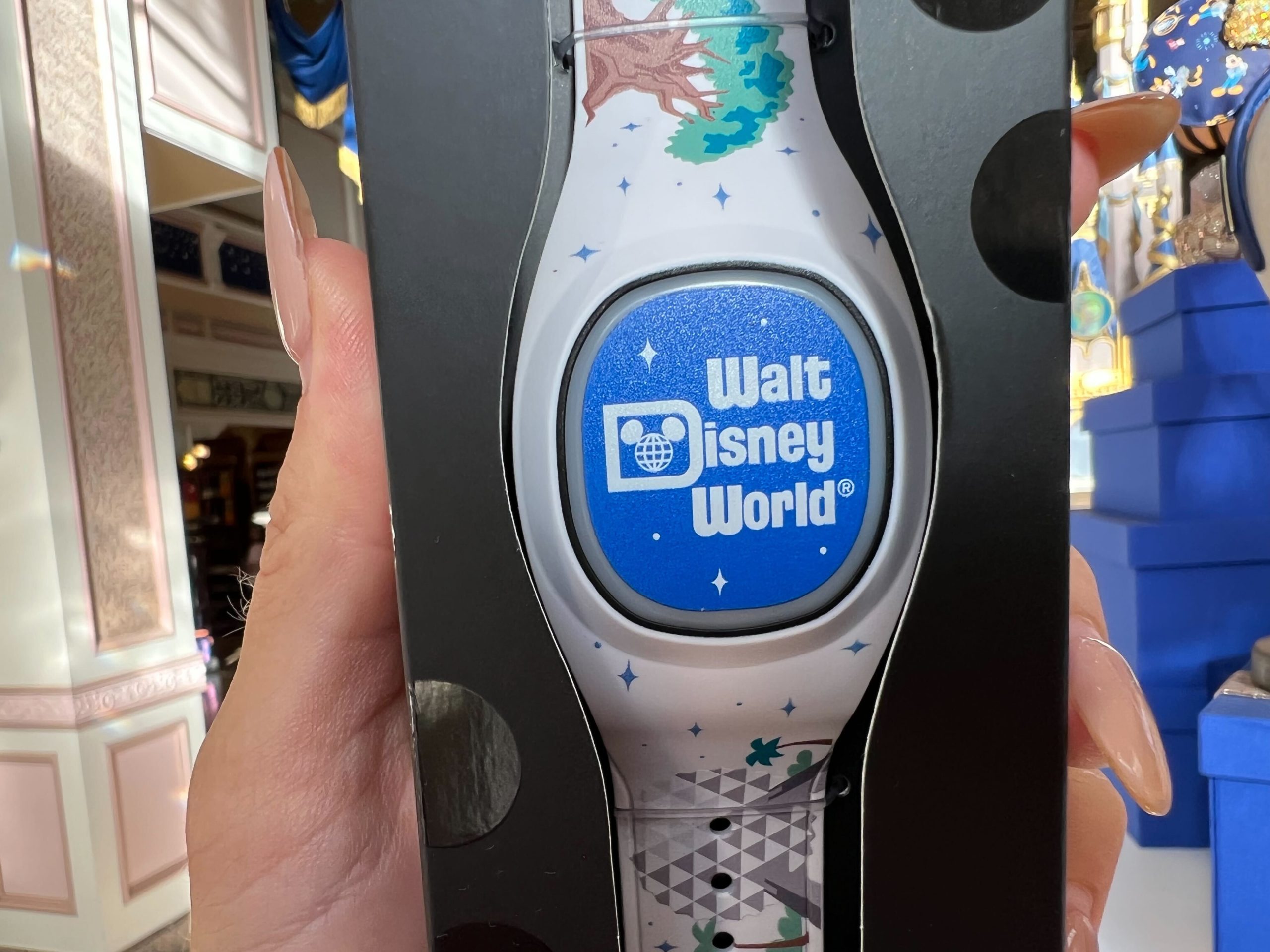 WDW MagicBand Park Icons 1 scaled