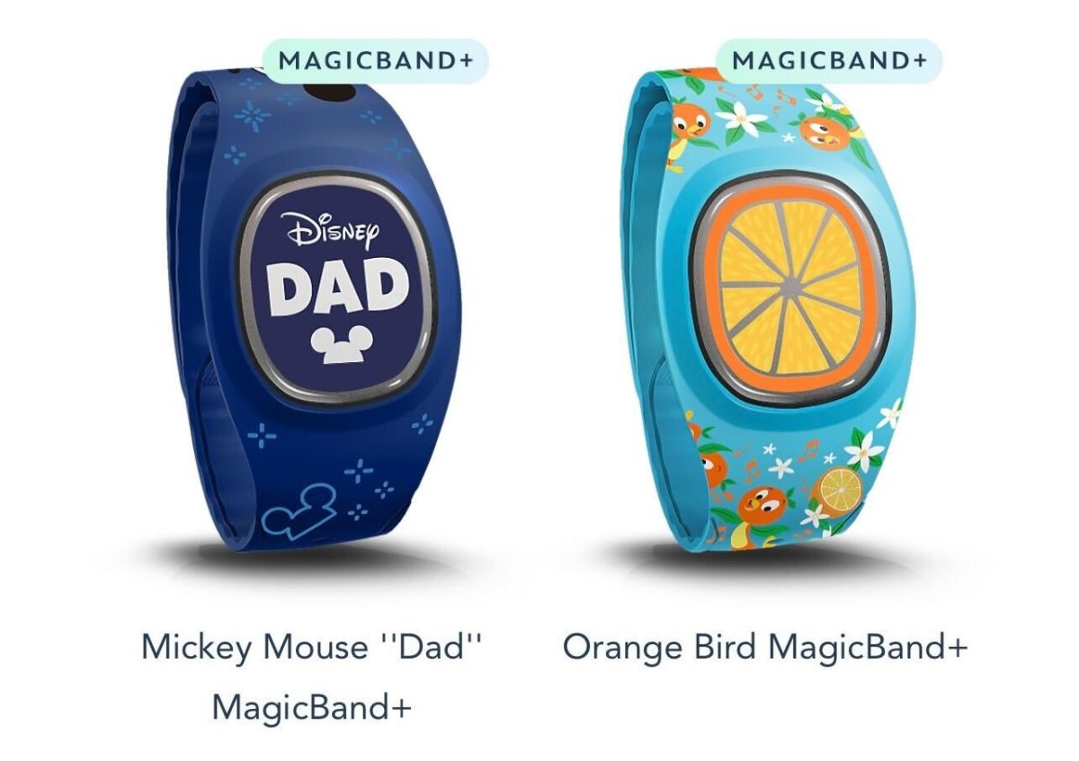 WDW Pre arrival MagicBand options 31