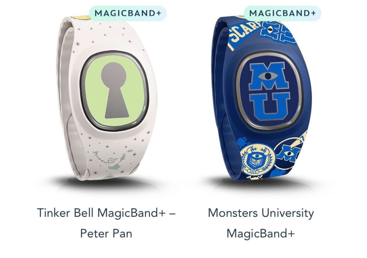 WDW Pre arrival MagicBand options 81