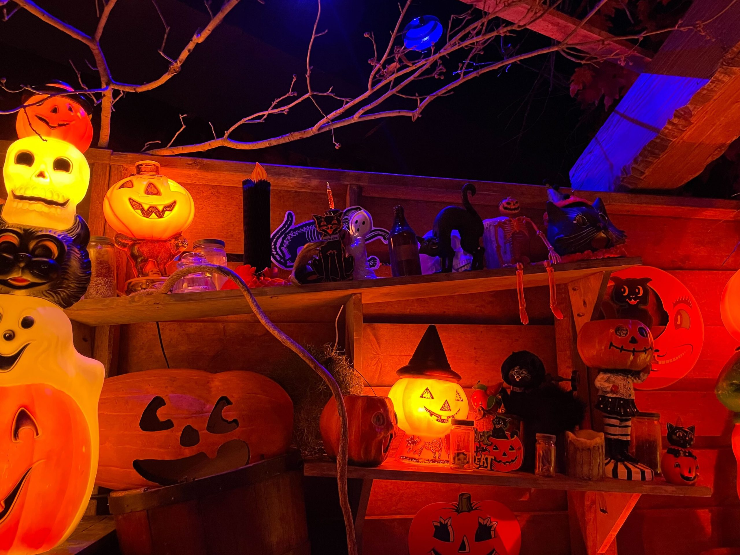 all hallows eve boutique decorations 19 scaled