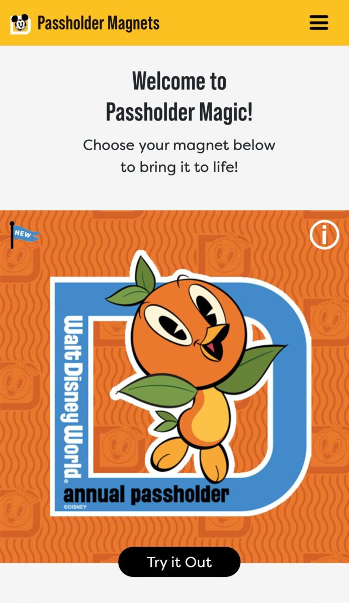 orange bird magnet 16