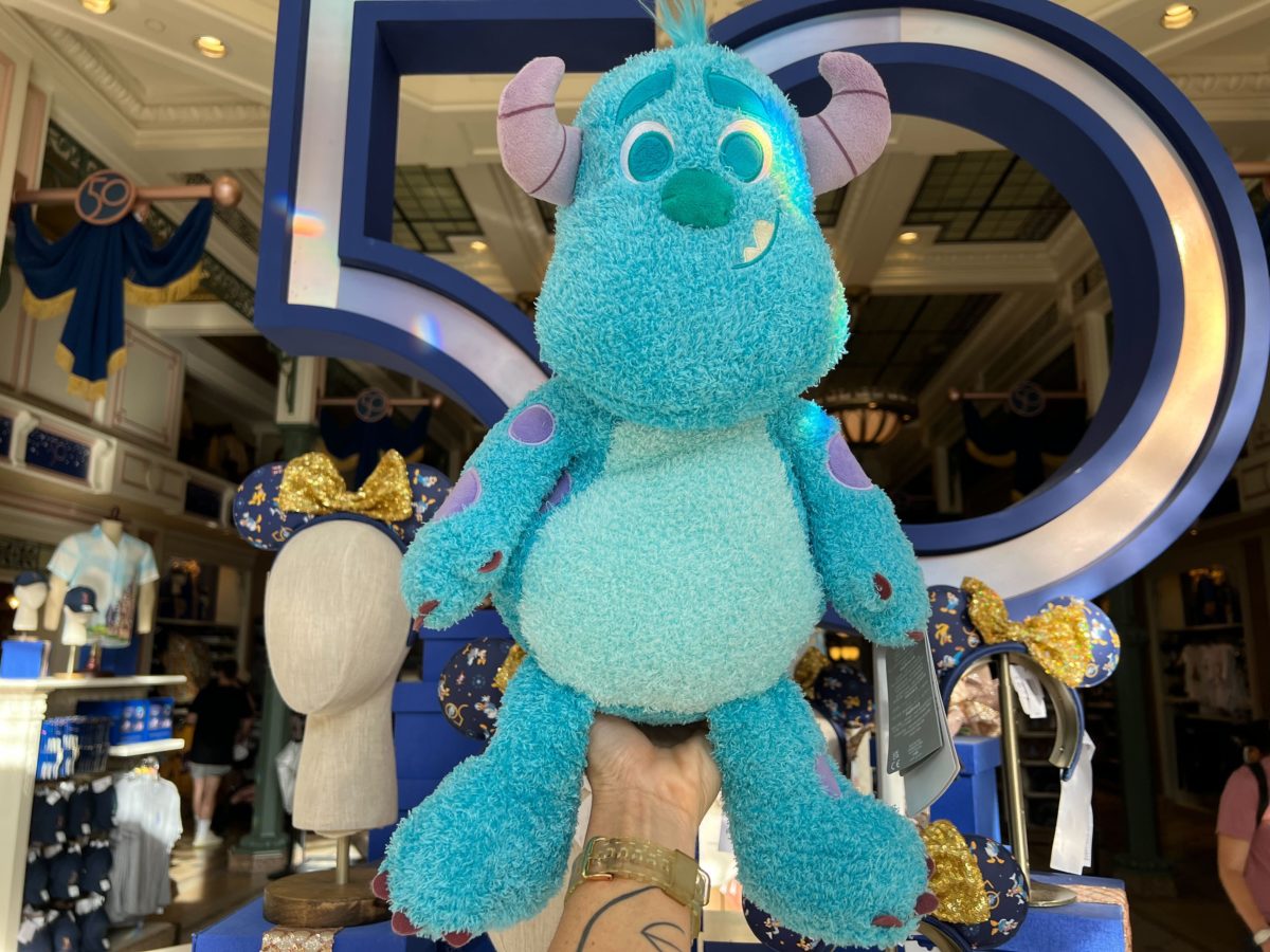 weighted sulley plush 5
