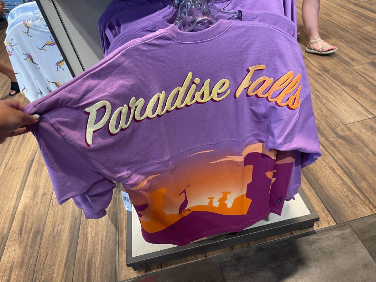 Up Paradise Falls spirit jersey back