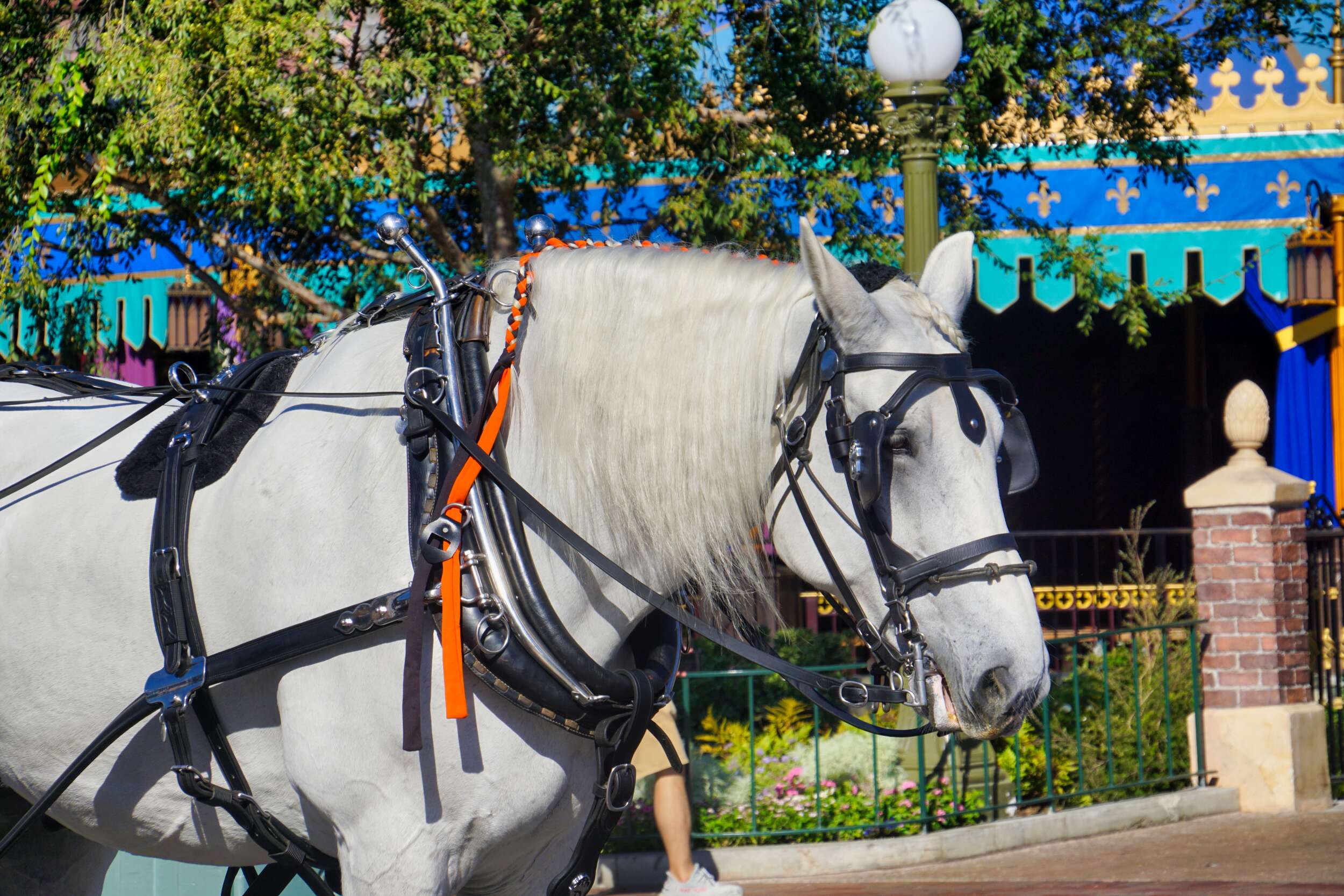 Horse Disneyland Halloween Braid