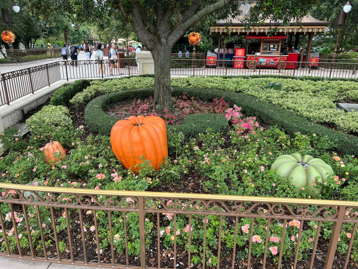 pumpkins hub hurricane preparations