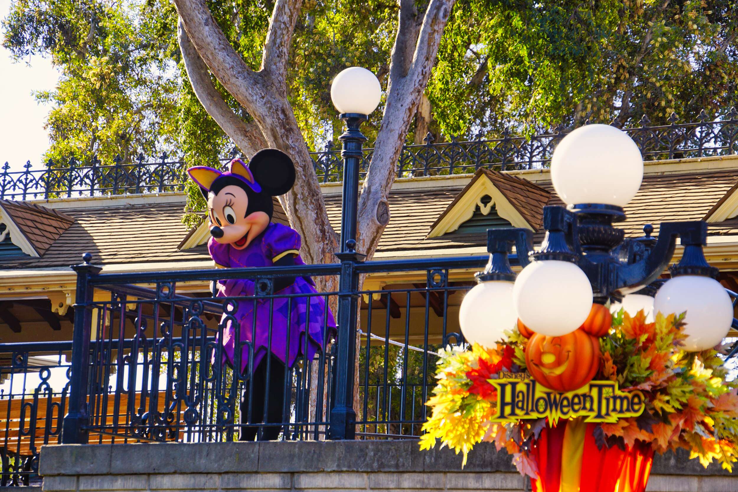 Minnie Halloween Costume Disneyland