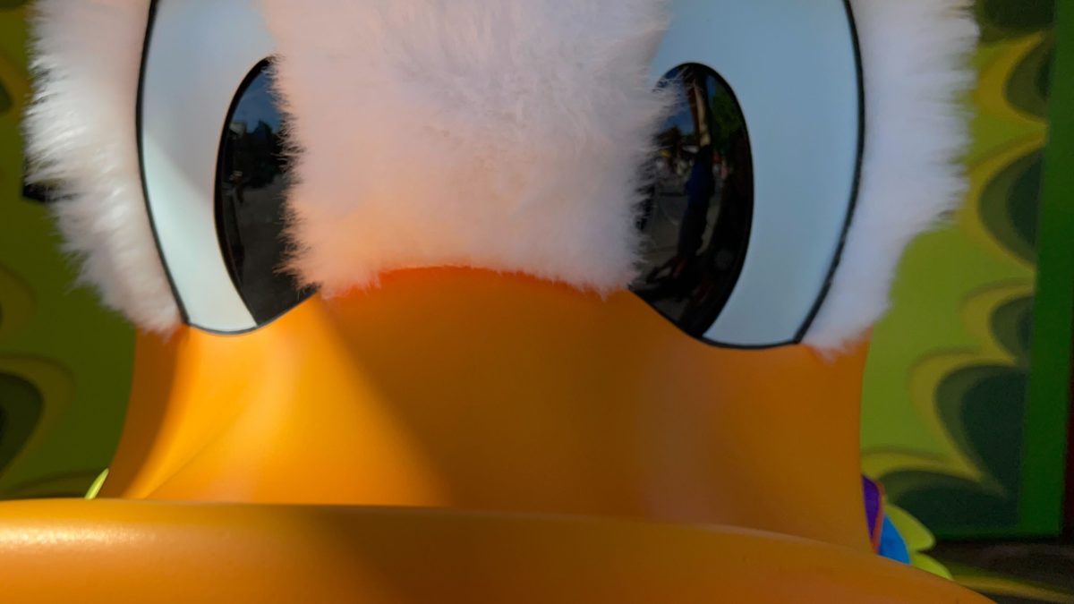 Donald Duck close-up