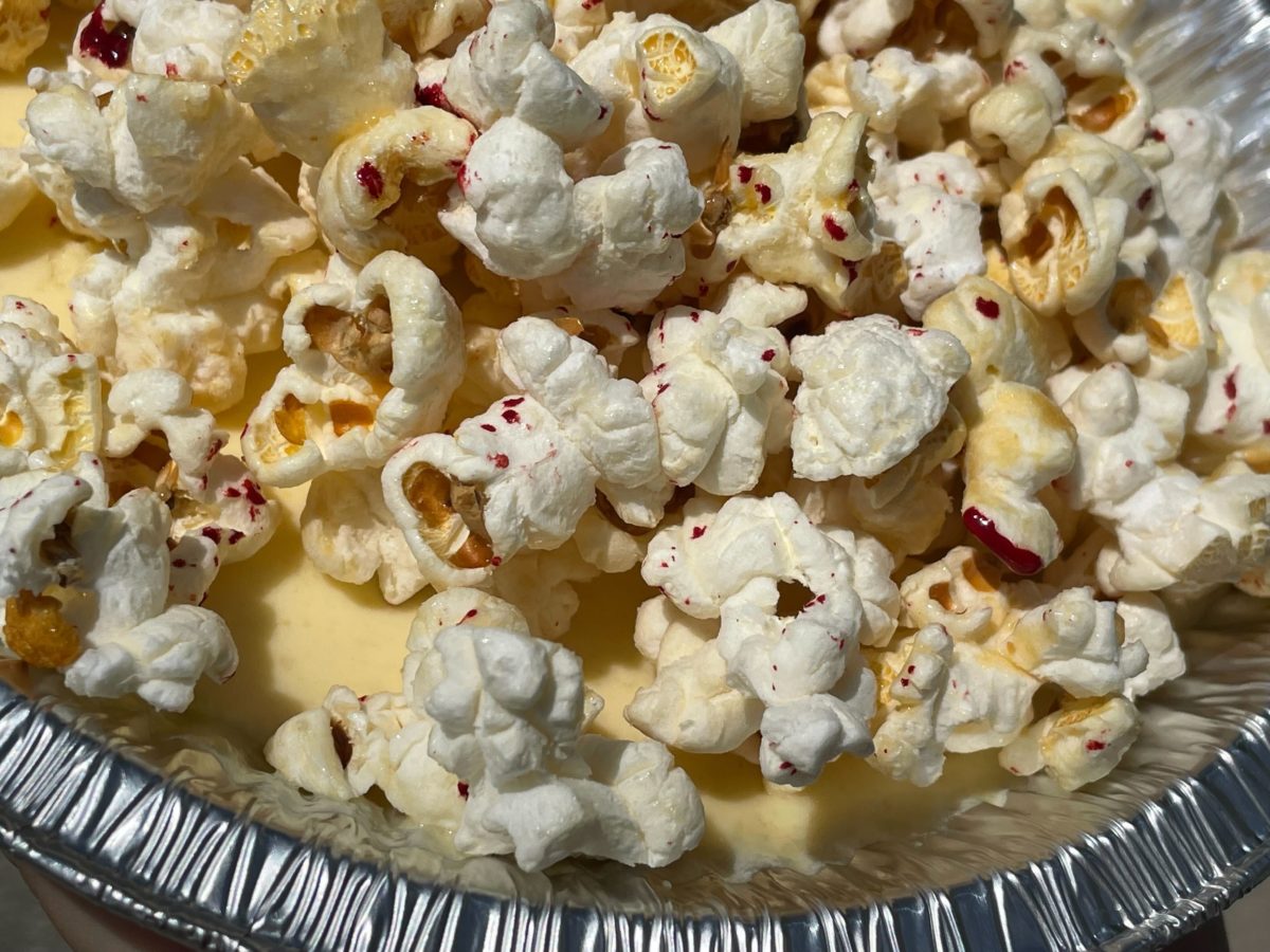 hhn 31 Killer Stove Top Popcorn Custard 5992