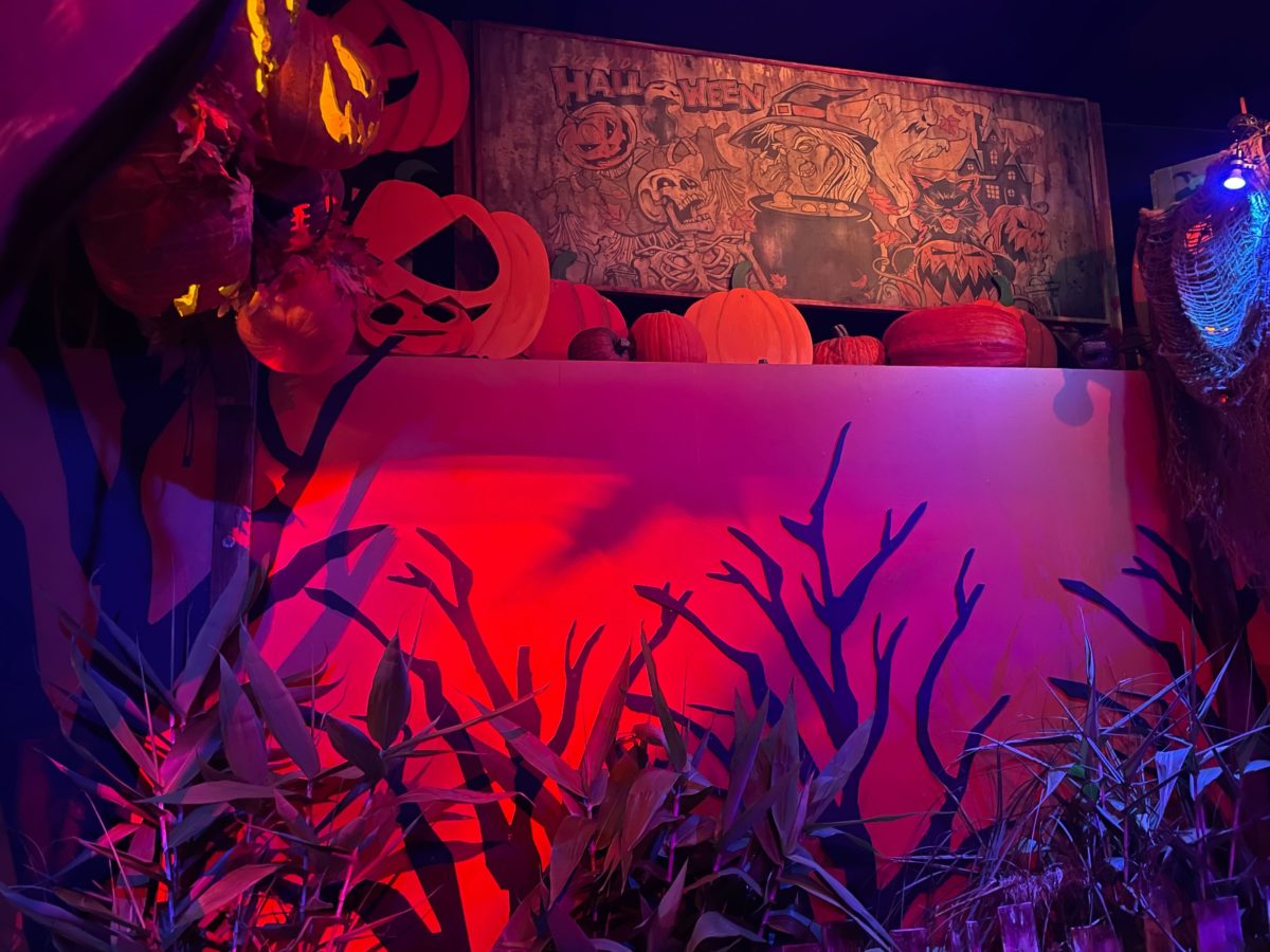 hhn 31 tribute store entrance and first room 5787